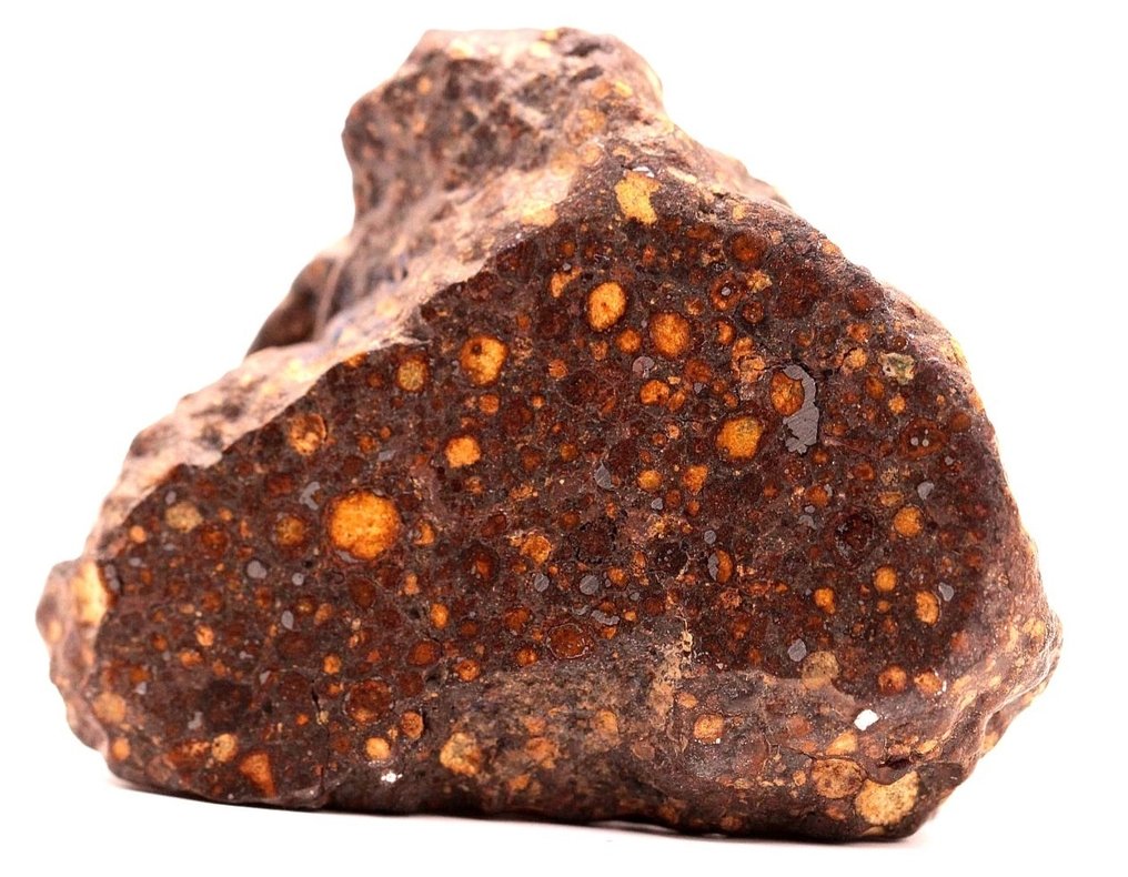 ACFER 404 CR2 Szenes kondrit meteorit - 29.6 g - (1) #2.1