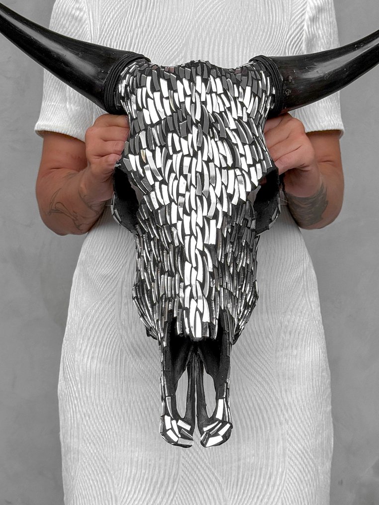 Fără preț de rezervă - Cap de vacă uimitor cu incrustație de mozaic de sticlă - argint. Craniu - Bos Taurus - 50 cm - 53 cm - 15 cm- Speciile Non-CITES - (1) #1.0