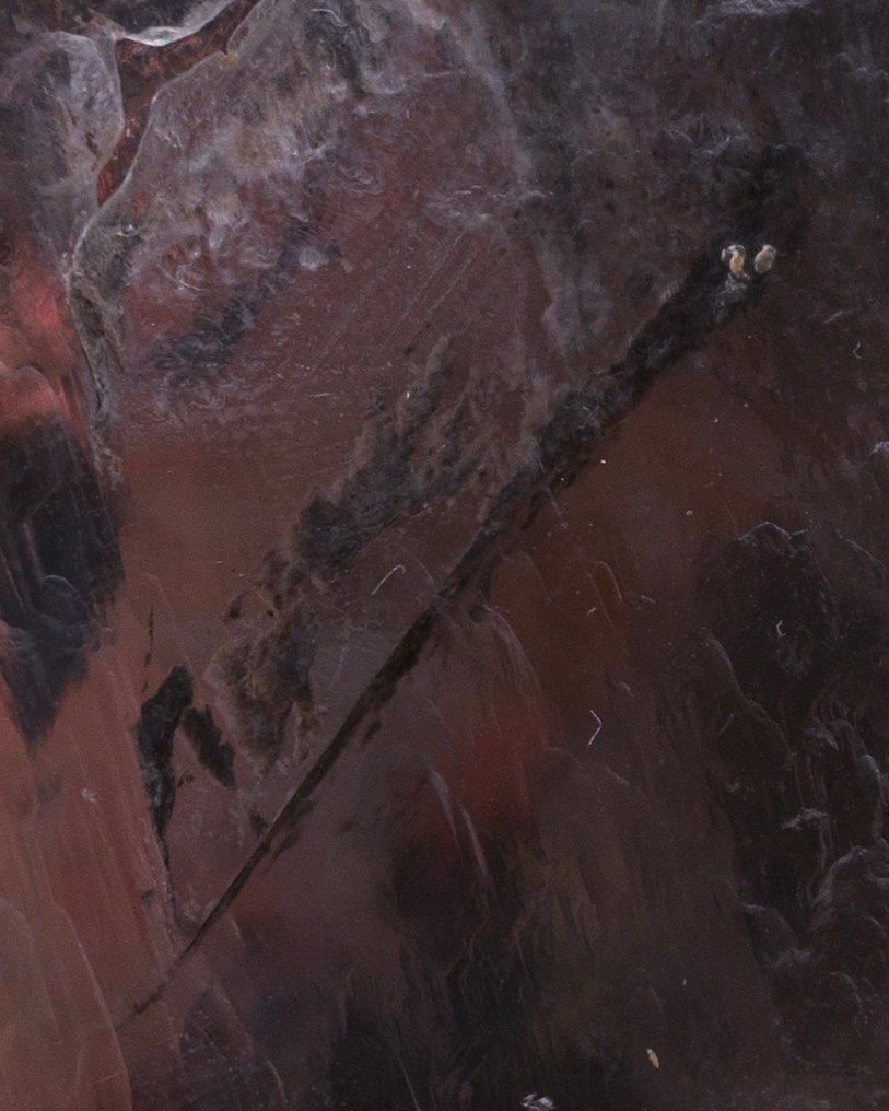 HUGE Gypsum Var.Selenite RARE LOCALITY Specimen!!! - Height: 24 cm - Width: 8.8 cm- 949 g - (1) #2.1