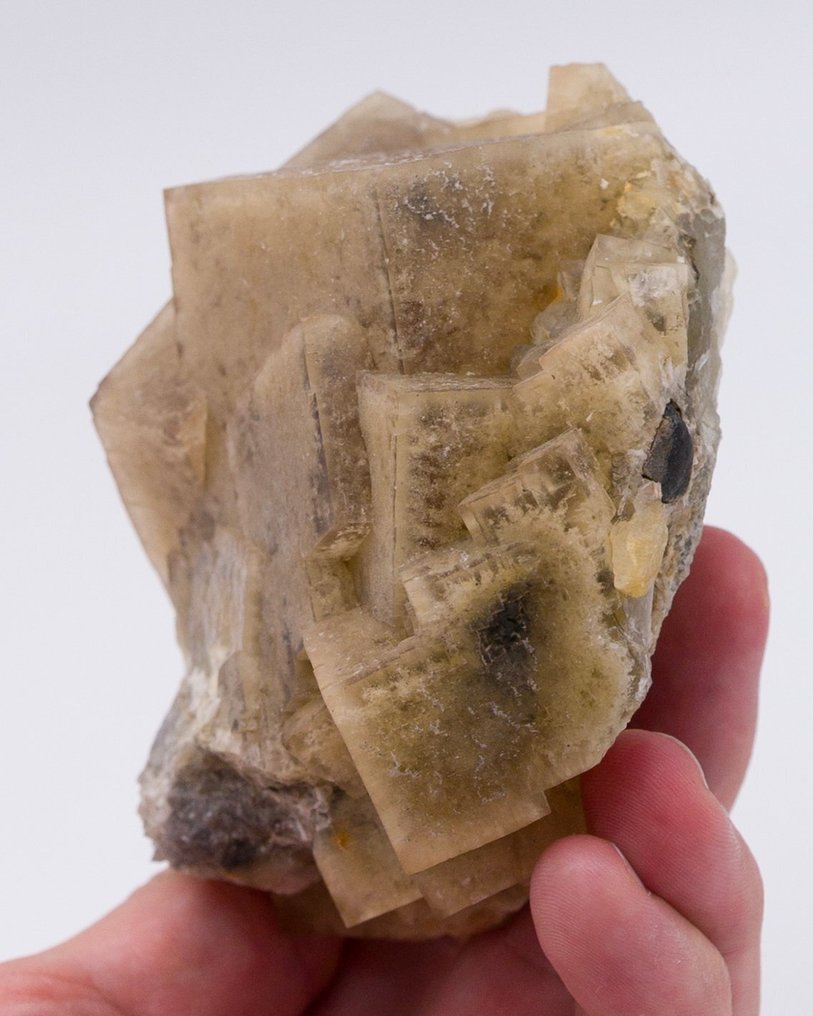 Fluorite incluse avec argile avec de grands cubes - Hauteur : 9.3 cm - Largeur : 10.5 cm- 615 g - (1) #4.3