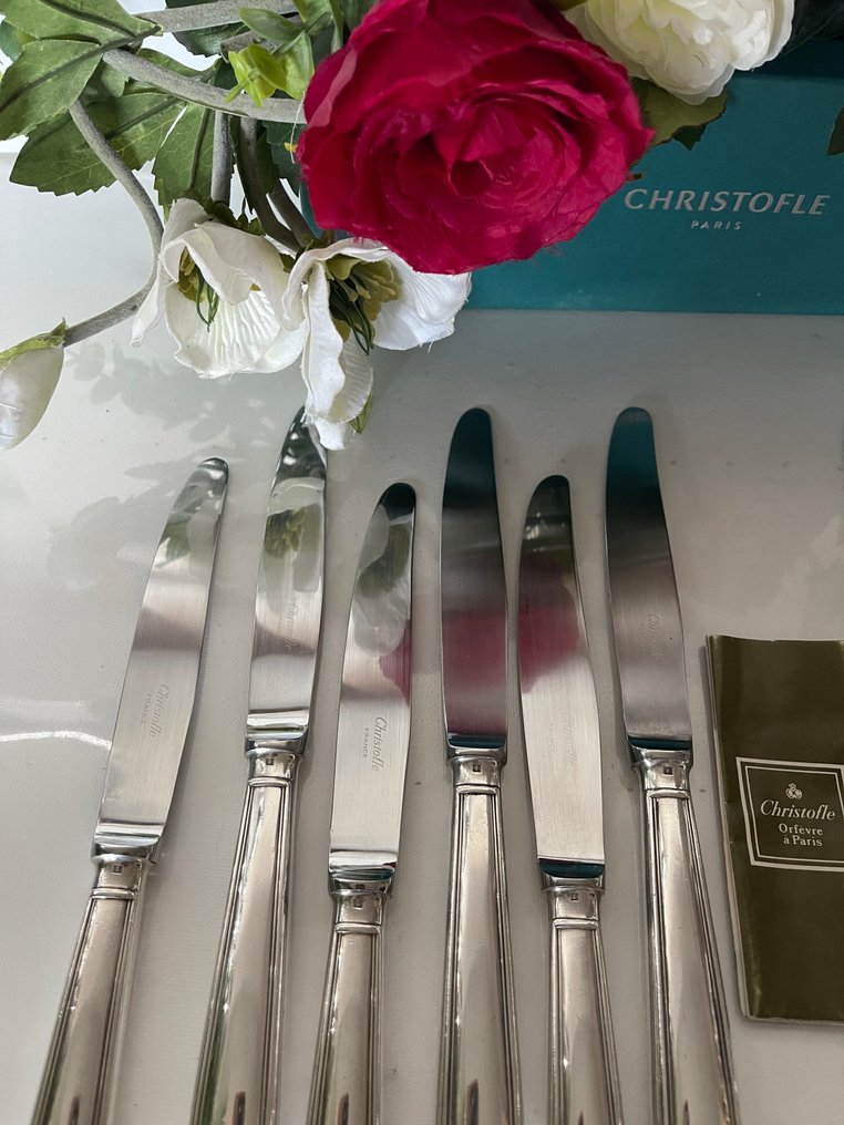 Christofle - Τραπεζομάχαιρο - Σετ 12 μαχαίρια φαγητού μοντέλο Albi. - Ασημένιο μέταλλο #2.1