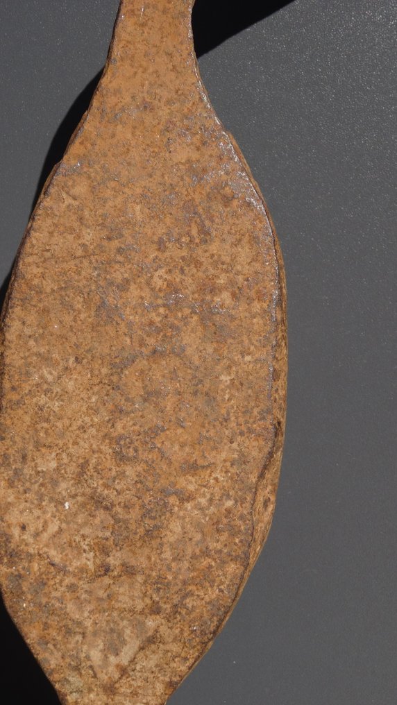 Primitive money - Wanshipta - Moudi Kirdi - Nigeria  (No reserve price) #4.3