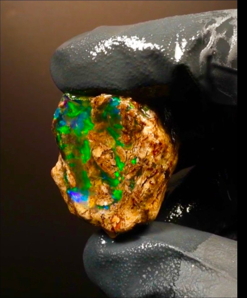 Welo Opal 73 Carat Specimen - Height: 30 mm - Width: 30 mm- 14.58 g - (1) #1.0