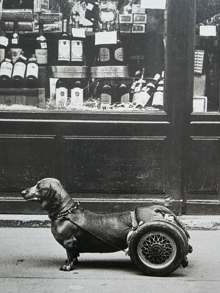 Robert Doisneau (1912–1994) - 2 tirages : "Le chien à roulettes" et "Les chiens de la Chapelle" #3.2