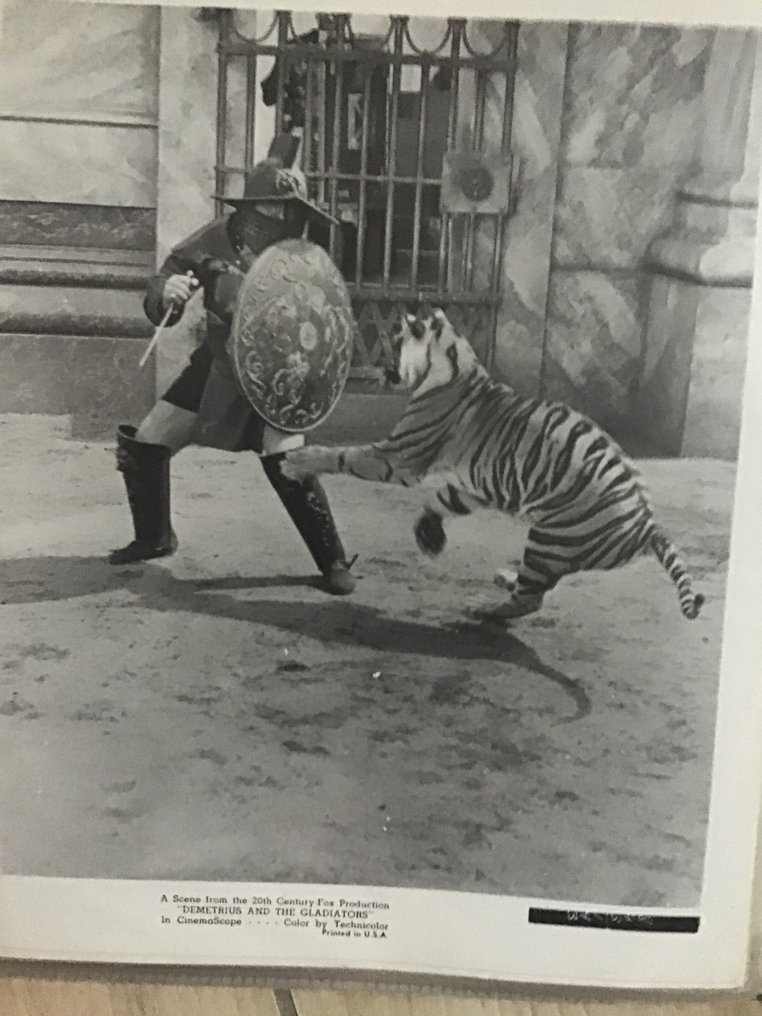 autre - DEMETRIUS AND THE GLADIATORS photographies studio #2.1