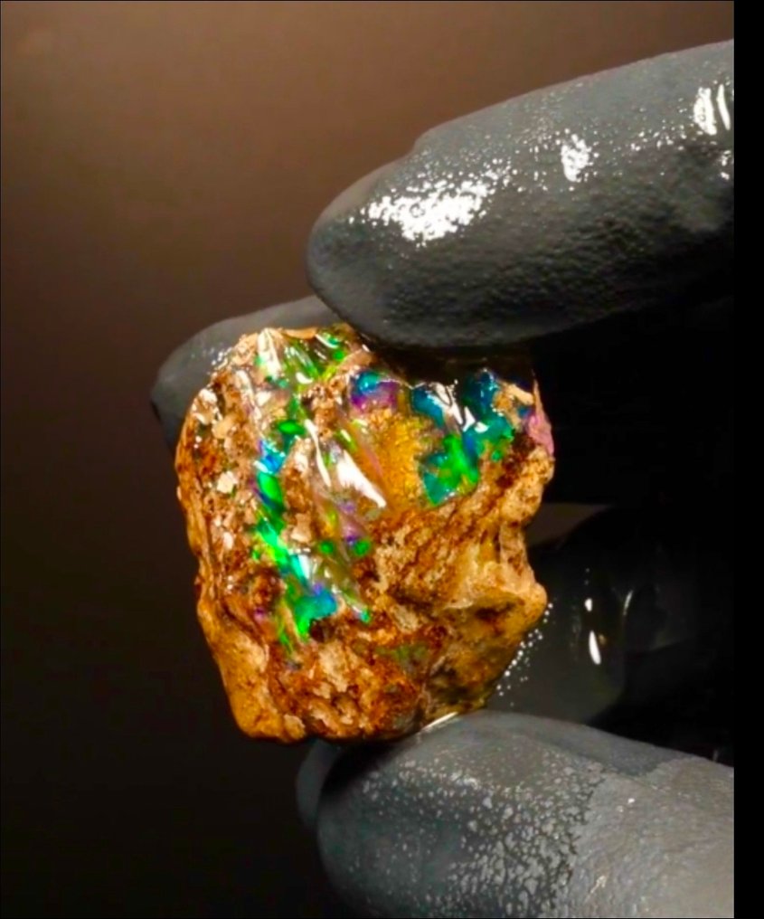 Welo Opal 73 Carat Specimen - Height: 30 mm - Width: 30 mm- 14.58 g - (1) #4.3
