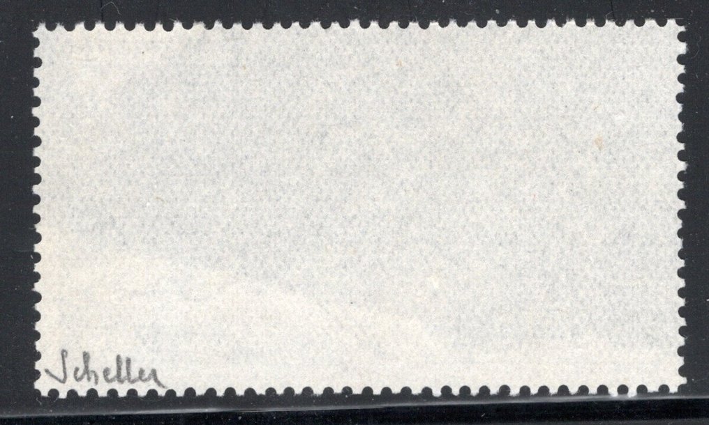 法属西非  - PA 13 具有壮观的杂色，覆盖邮票的80%！未评级，签名为 Scheller。 - Yvert PA 13(*)/Mng #1.0