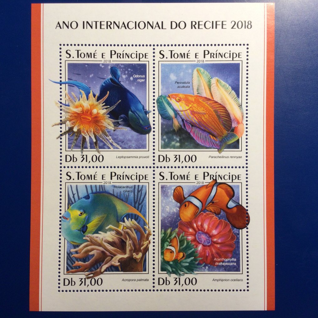 世界  - 鱼及其他海洋生物 #4.3