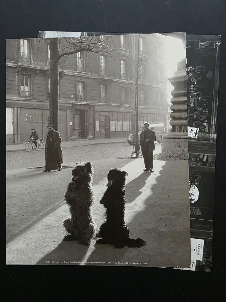 Robert Doisneau (1912–1994) - 2 tirages : "Le chien à roulettes" et "Les chiens de la Chapelle" #1.0