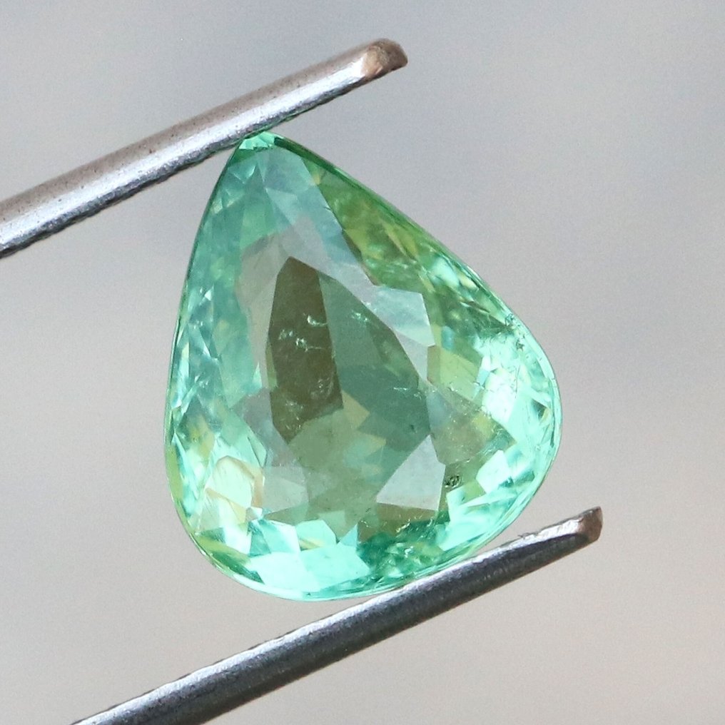 1 pcs  粉色, 绿色 电气石  - 2.54 ct - 国际宝石研究院（IGI） #1.0