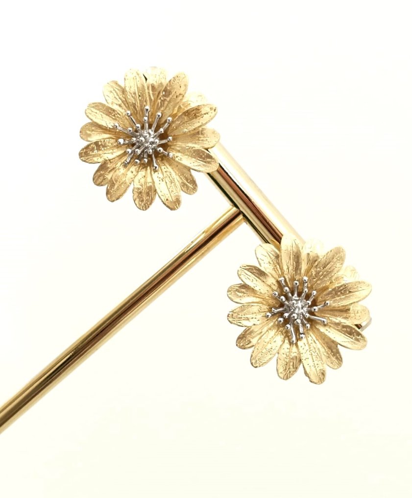 No Reserve Price - Earrings Silver #1.0