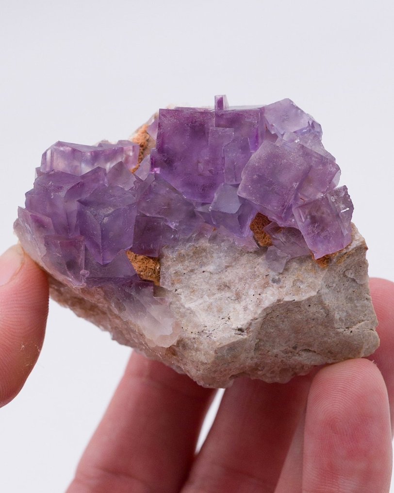 异常色彩的萤石 在石灰岩上 - 高度: 4.4 cm - 闊度: 6.6 cm- 122 g - (1) #1.0