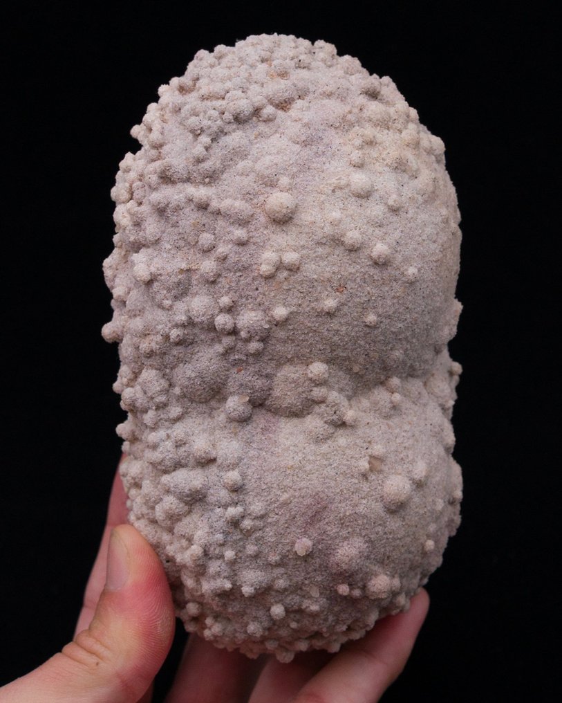 Calcit var. Sand calcit från Spanien!!! - Höjd: 13.7 cm - Bredd: 7.4 cm- 1054 g - (1) #1.0