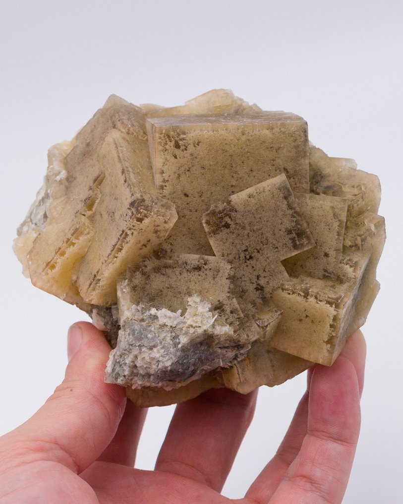 Fluorite incluse avec argile avec de grands cubes - Hauteur : 9.3 cm - Largeur : 10.5 cm- 615 g - (1) #1.0