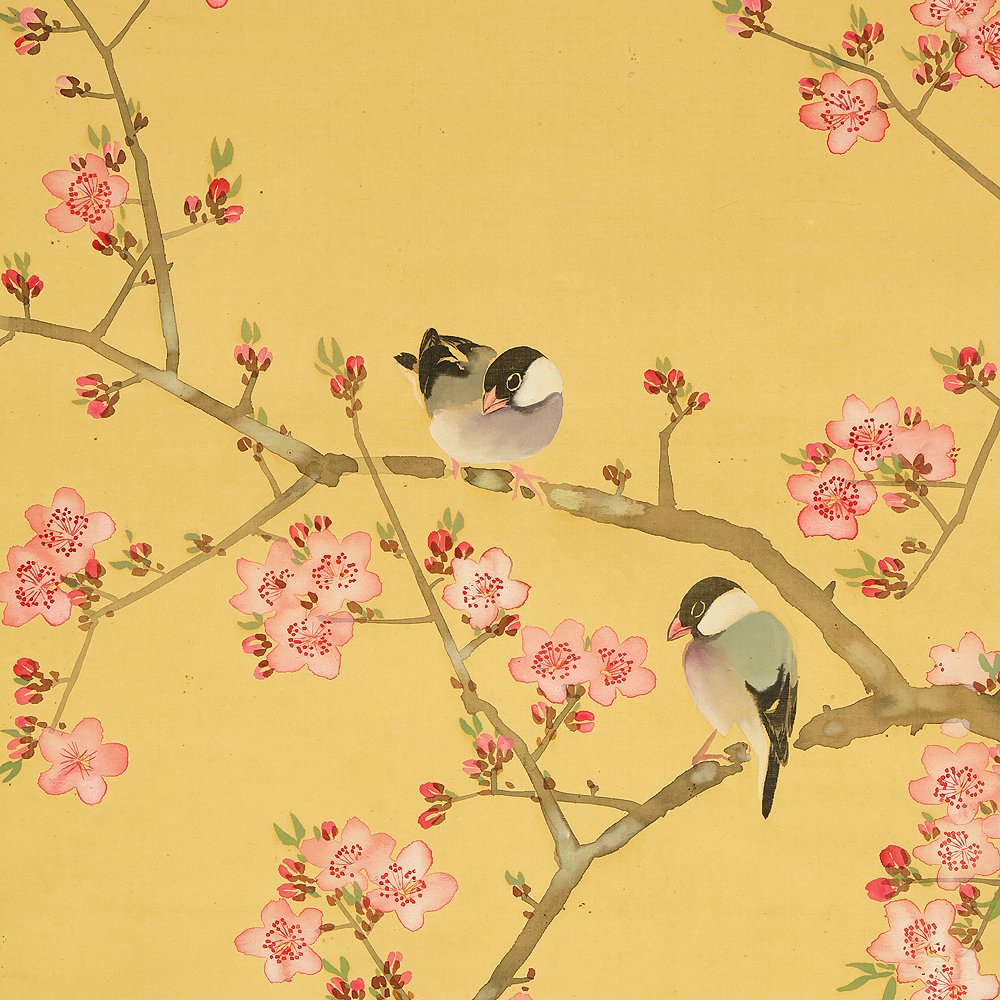 Two Java Sparrows and Red Plum Blossoms - Nemoto Seppo 根本雪篷 (b1878) - Japan (No Reserve Price) #1.0