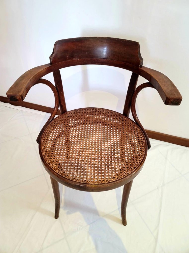 Stol - Træ, PAGLIA DI VIENNA - Sedia Ligna #1.0