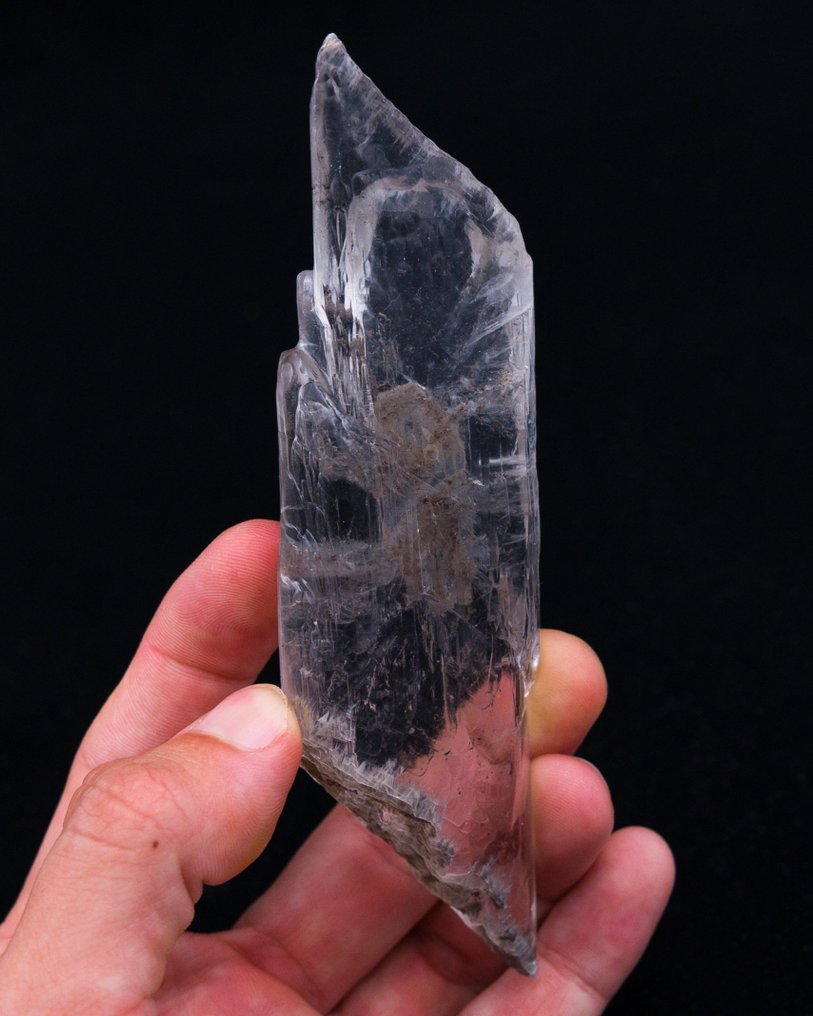 ZONED floater Gypsum Var.Selenite RARE LOCALITY Specimen!!! - Height: 13.5 cm - Width: 3.9 cm- 95 g - (1) #4.3