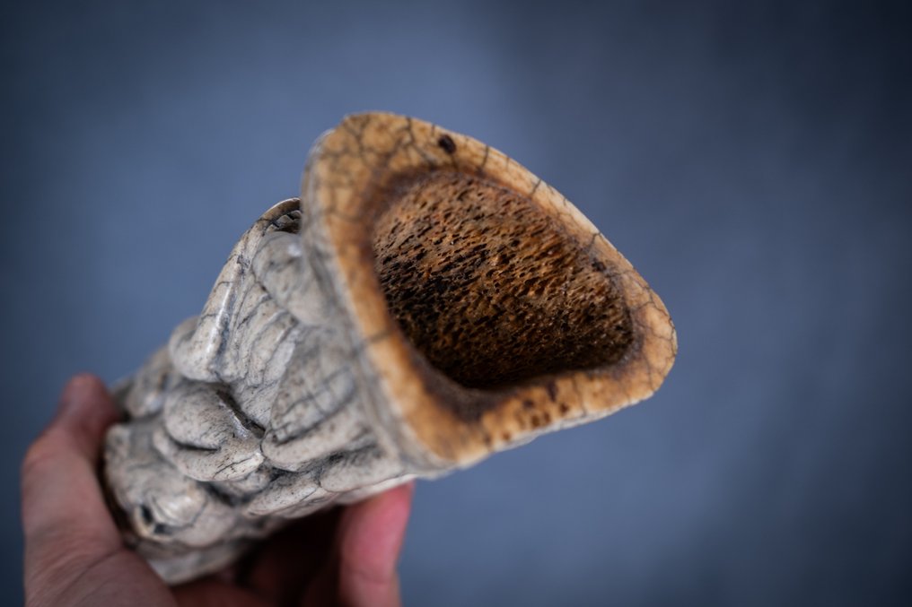 Verrassend botfetisj (zeer dicht) - Kuba - DR Congo (Zonder minimumprijs) #2.1