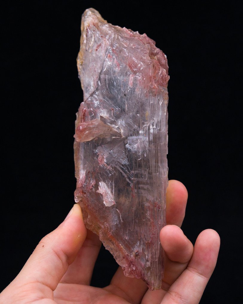 漂浮石膏品种：白晶 罕见地点标本！！！ - 高度: 15.7 cm - 宽度: 5.3 cm- 256 g - (1) #1.0