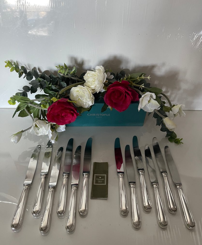 Christofle - Τραπεζομάχαιρο - Σετ 12 μαχαίρια φαγητού μοντέλο Albi. - Ασημένιο μέταλλο #1.0