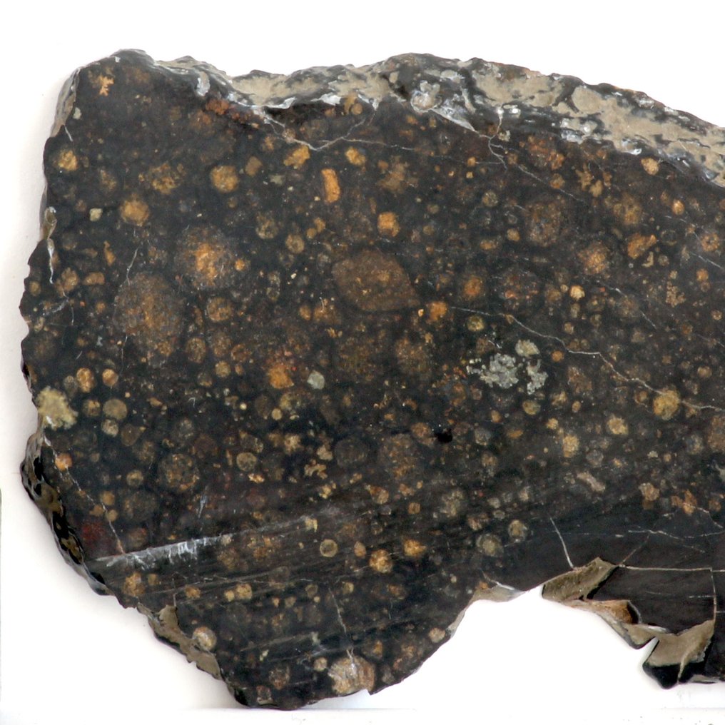 Slice of a CVox3 NWA 4502 meteorite. Carbonaceous chondrite - 9.8 g - (1) #1.0