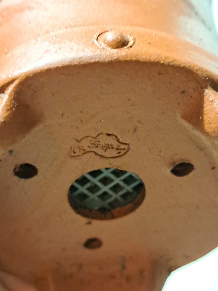 Άρκευθος μπονσάι (Juniperus) - Ύψος (Δέντρο): 14 cm - Βάθος (Δέντρο): 32 cm - Ιαπωνία #1.0