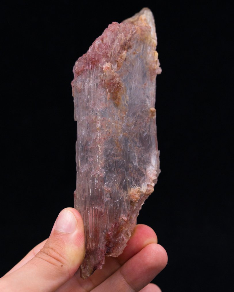 漂浮石膏品种：白晶 罕见地点标本！！！ - 高度: 15.7 cm - 宽度: 5.3 cm- 256 g - (1) #4.3