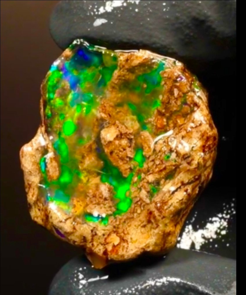 Welo Opal 73 Carat Specimen - Height: 30 mm - Width: 30 mm- 14.58 g - (1) #1.0