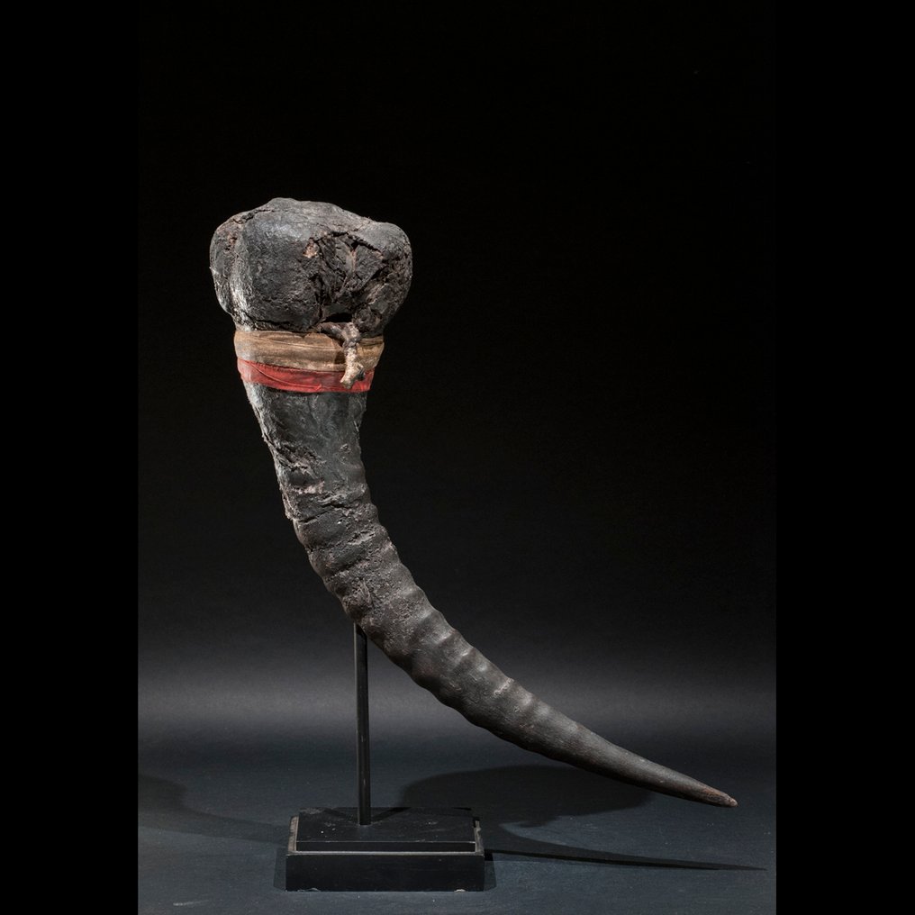 Φυλαχτό κέρατο - Βαουτού - Fon - Μπενίν #3.2