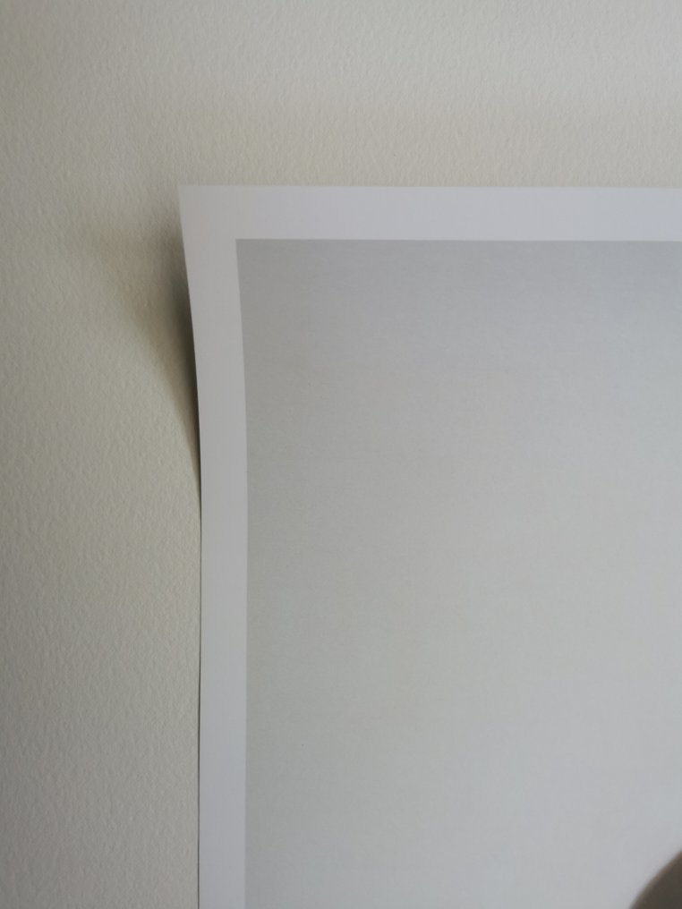 Yoshitomo Nara - Princess of Snooze (2001) - 2020年 #4.3