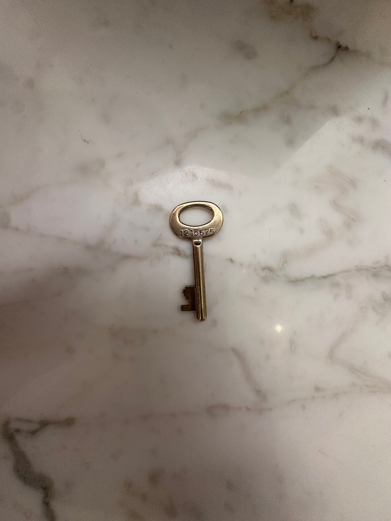 Storage trunk - Gilt brass - Louis Vuitton trunk case #2.1