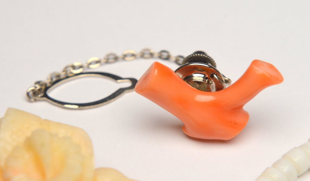 Colección temática - Lote de colección de joyas de coral #1.0