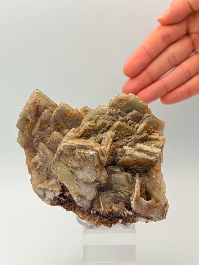 重达2.68公斤的萨丁岛方解石巴里特罗斯阿斯特拉 水晶矩晶体 - 高度: 117 mm - 宽度: 85 mm- 2.68 kg #1.0