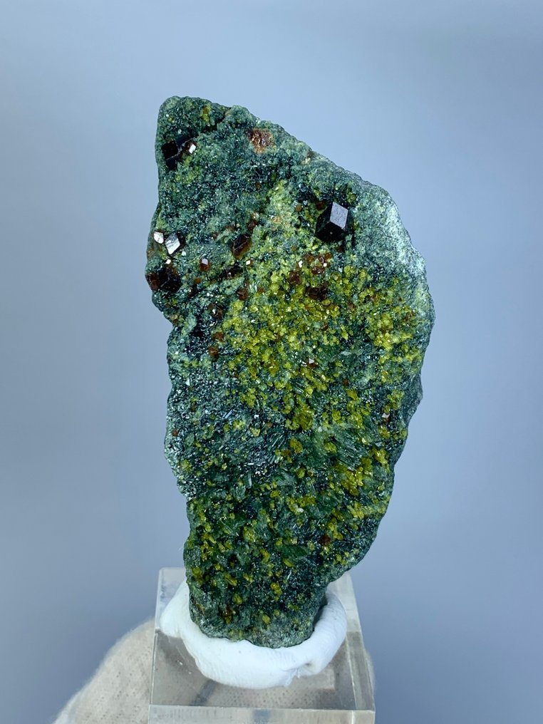 No Reserve Garnet Specimen - Height: 95 mm - Width: 45 mm- 844 g - (6) #1.0