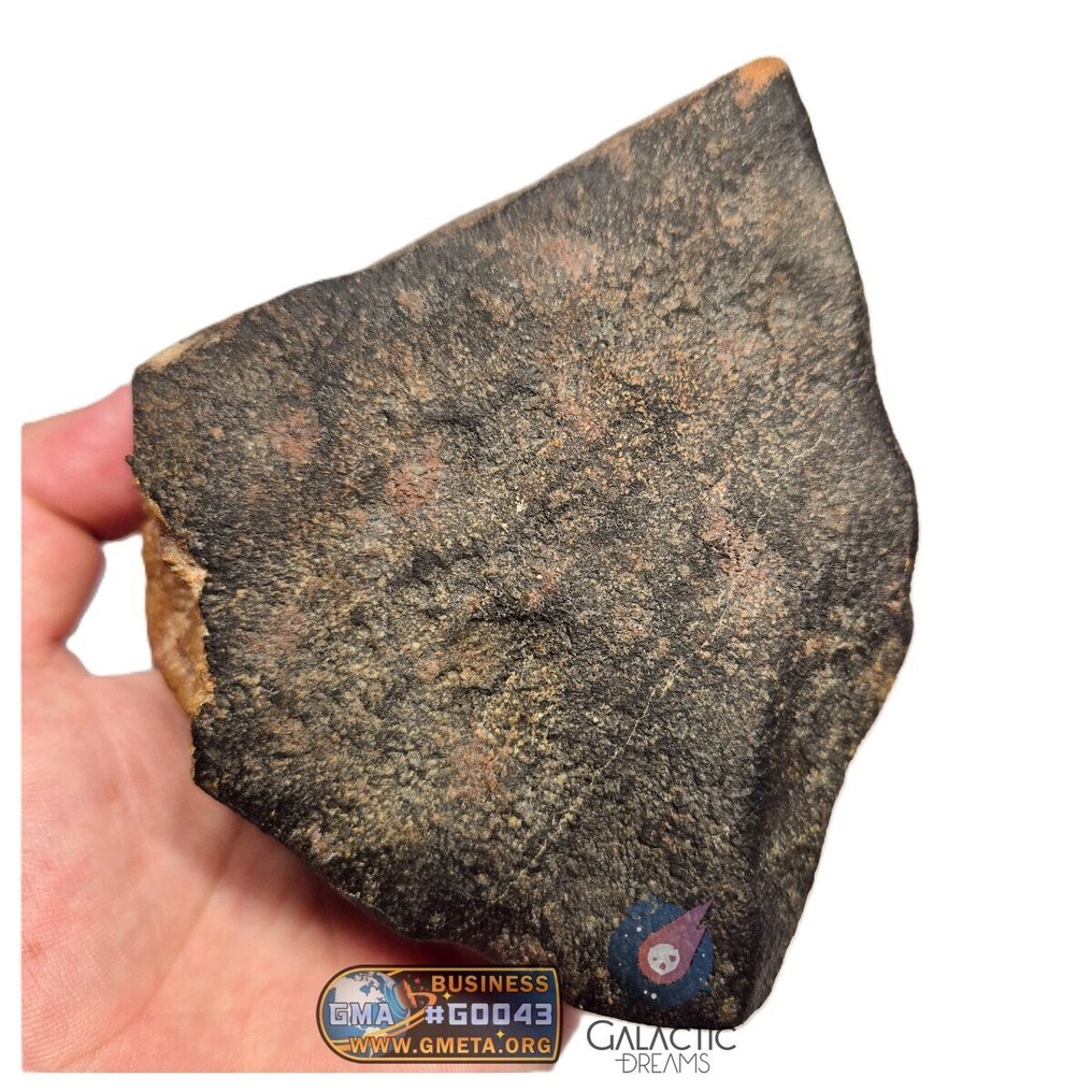 "NWA 17599" MAIN MASS Fresh Eucrite (unbrecciated) HED Achondrite Meteorite 1280g HED Achondrite - Unbrecciated Eucrite - 1280 g #1.0