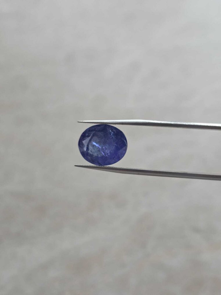 Μπλε, Μωβ Τανζανίτης - 7.53 ct - Instituto Gemólogico Español (IGE) #3.2