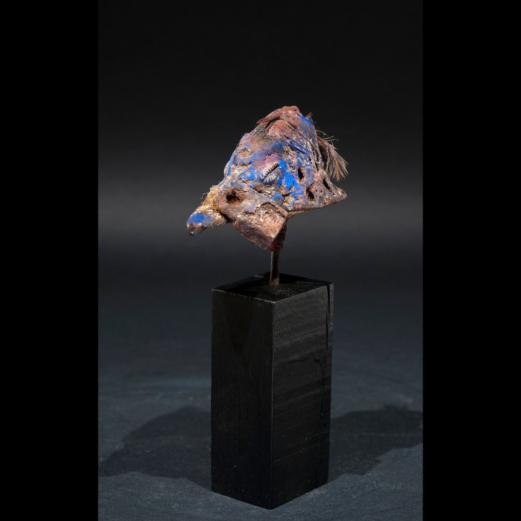 Φυλαχτό κρανίου πάπιας. - Βαουτού - Fon - Μπενίν #2.1