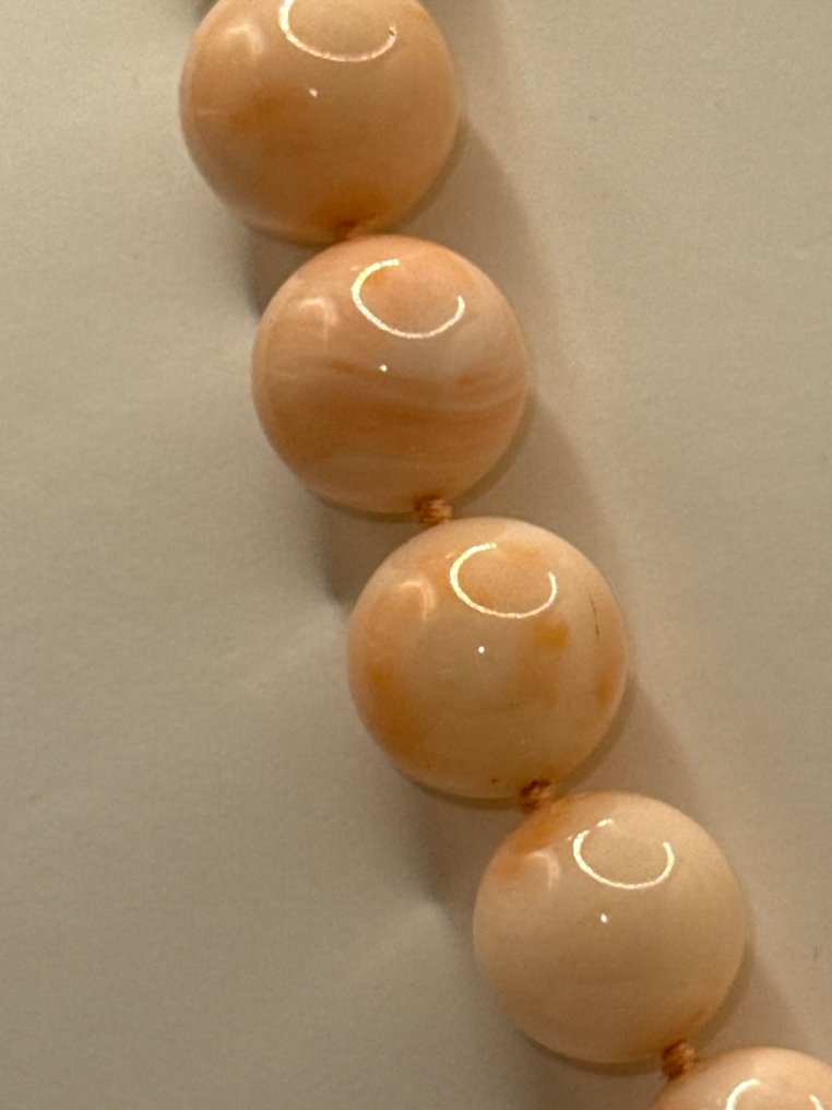 珊瑚 - 18K包金 - 白金 - 项链 - 粉色珊瑚 #2.1