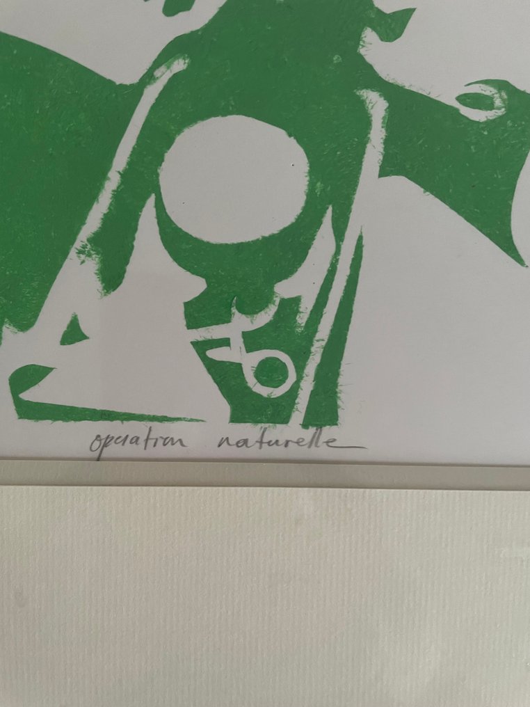 Ivan Messac (1948) - Opération naturelle #2.1