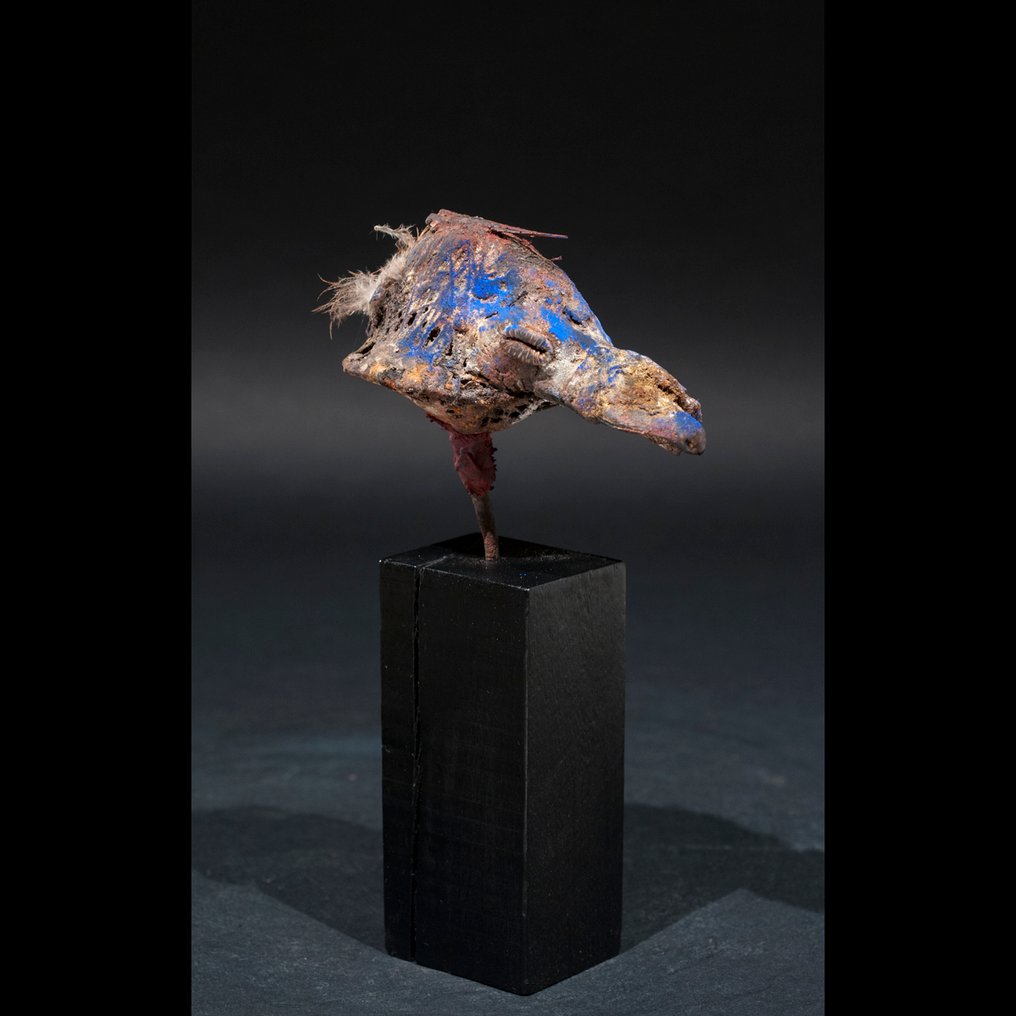 Φυλαχτό κρανίου πάπιας. - Βαουτού - Fon - Μπενίν #3.2