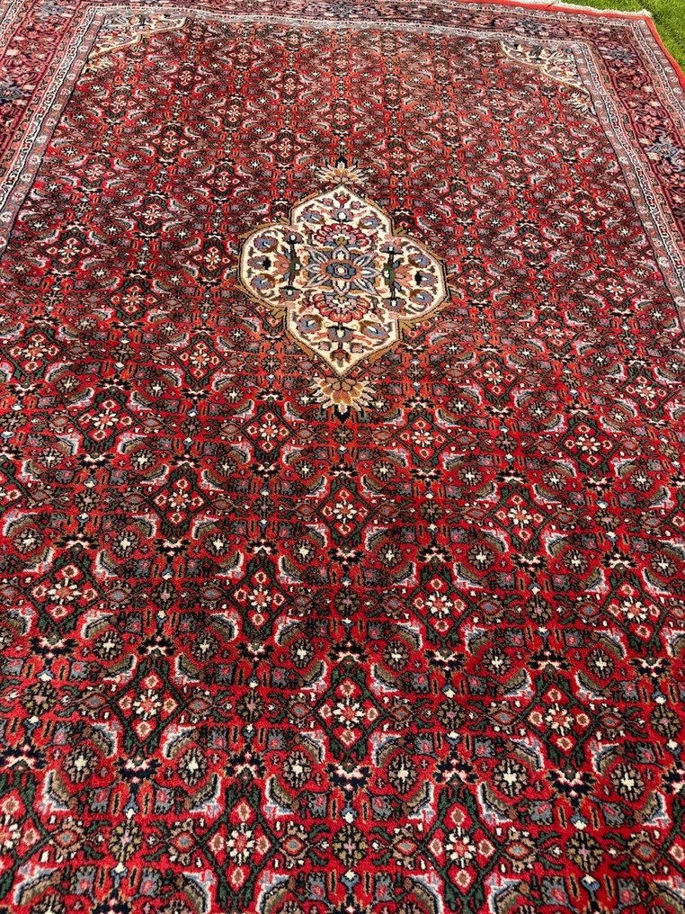 顶级 Indo Bidjar - 地毯 - 350 cm - 250 cm #4.3