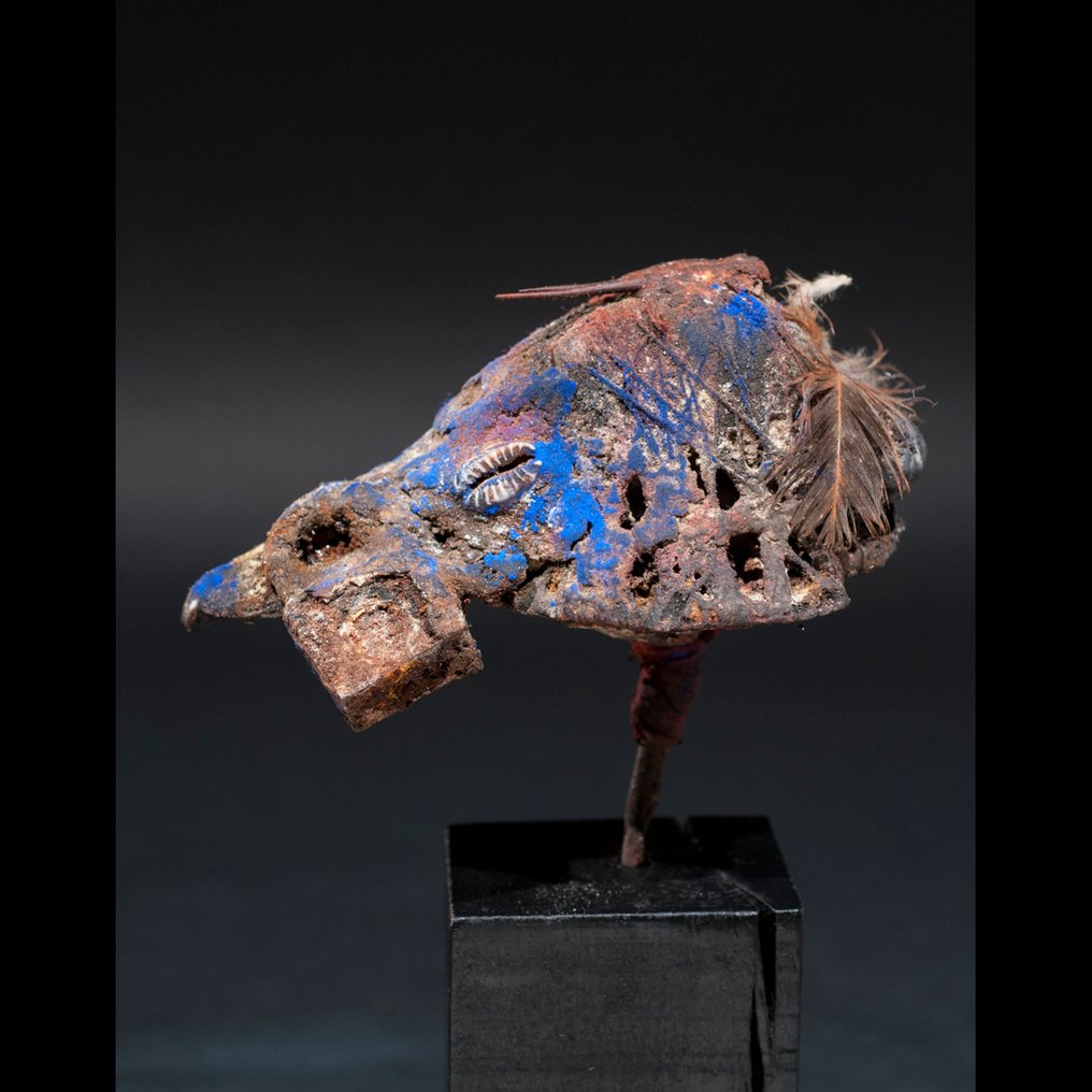 Φυλαχτό κρανίου πάπιας. - Βαουτού - Fon - Μπενίν #1.0