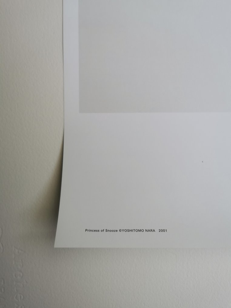 Yoshitomo Nara - Princess of Snooze (2001) - 2020年 #3.2
