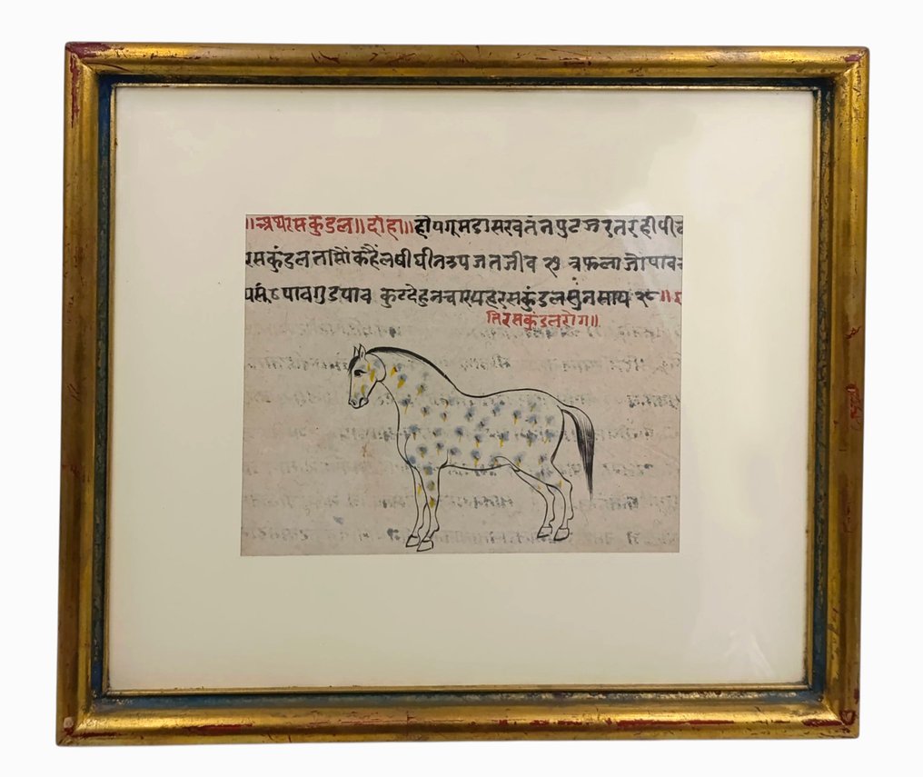 Σελίδα χειρογράφου με εικόνα αλόγου, Βόρεια Ινδία, περίπου 1750–1850. - Ινδία - 18ος-19ος αιώνας #1.0