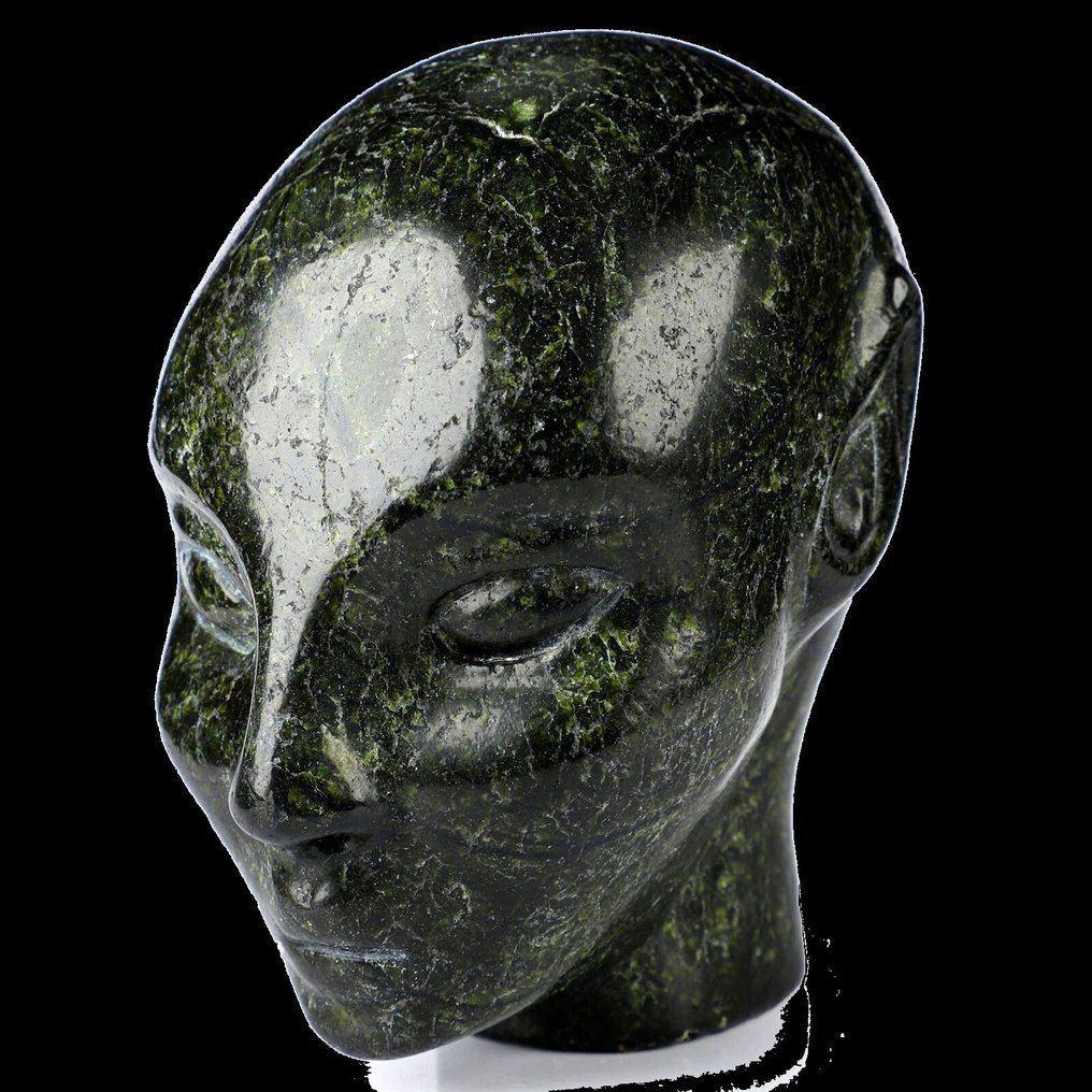 Jasper 587 g 8.40cm x 8.40cm Magic Skull AA Hiso Jasper fine art sculpture Space Visitor- 587 kg #1.0