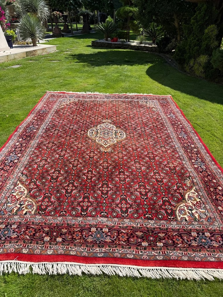 顶级 Indo Bidjar - 地毯 - 350 cm - 250 cm #1.0