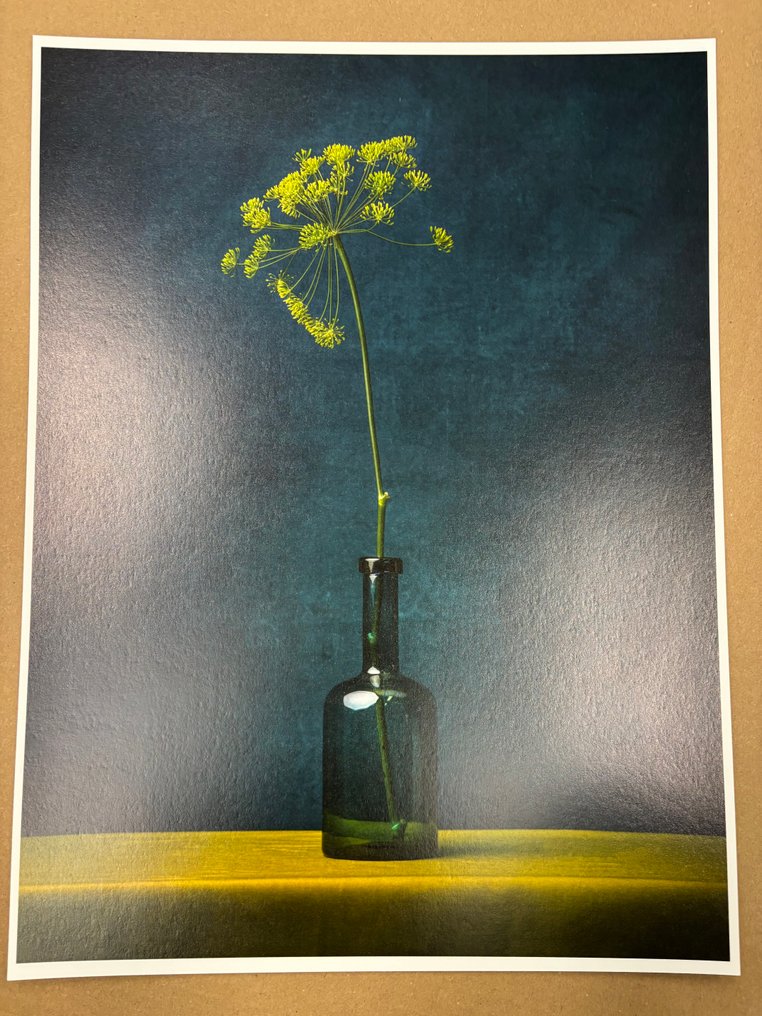 Tessa Posthuma de Boer - Anethum #4.3