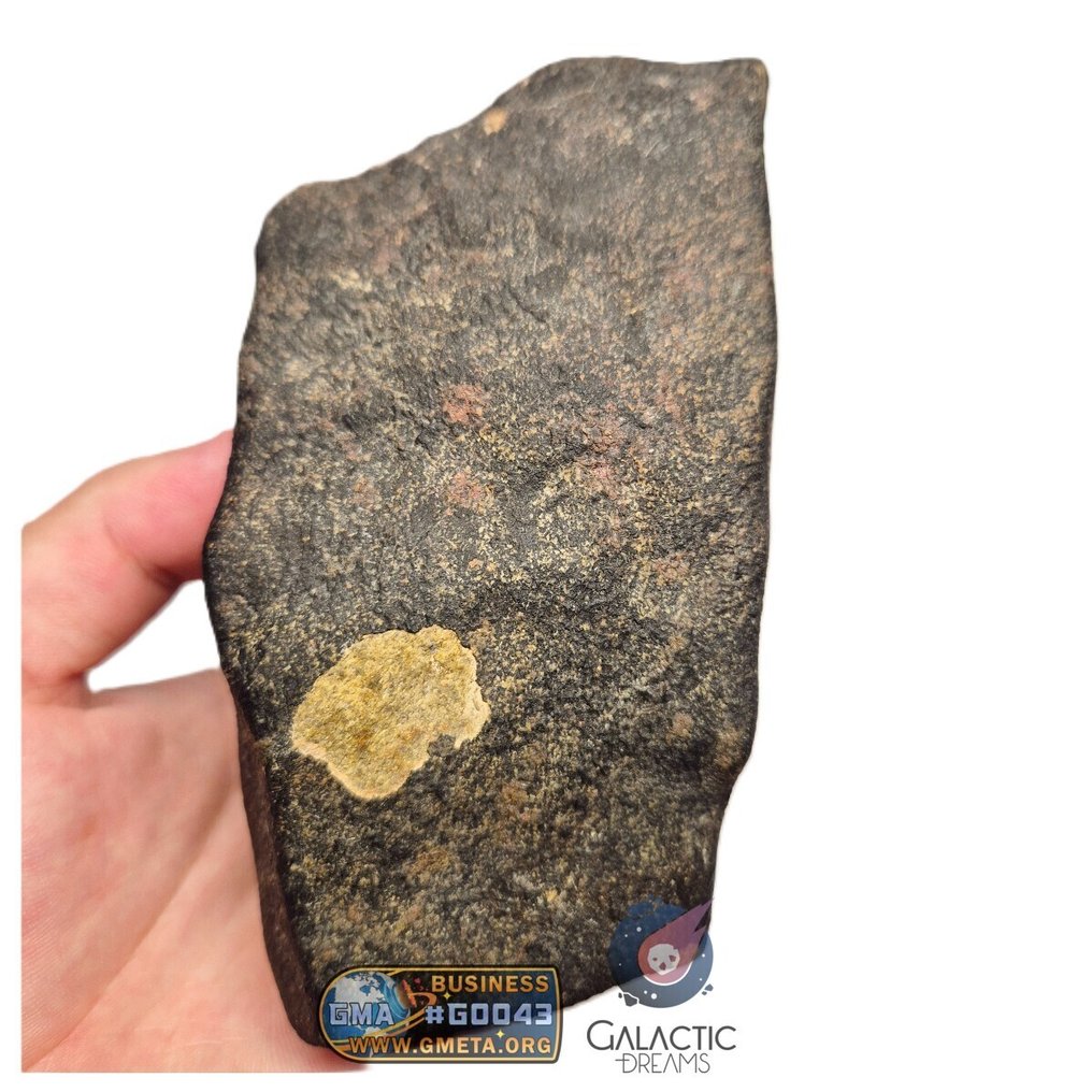 "NWA 17599" MAIN MASS Fresh Eucrite (unbrecciated) HED Achondrite Meteorite 1280g HED Achondrite - Unbrecciated Eucrite - 1280 g #1.0