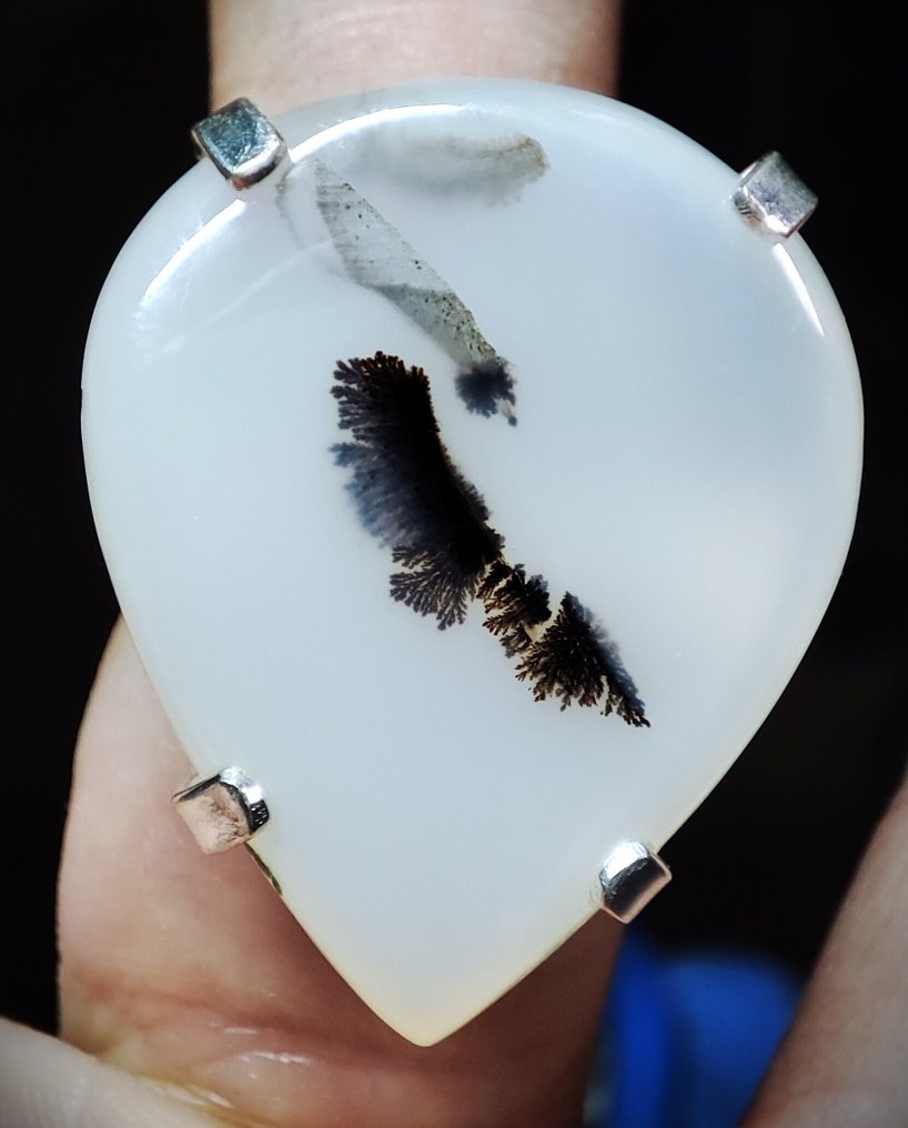 collector's Item Beautiful and Rare Dendritic Opal With Eagle Shape 925 Silver Ring Free Shipping - Ring #2.1