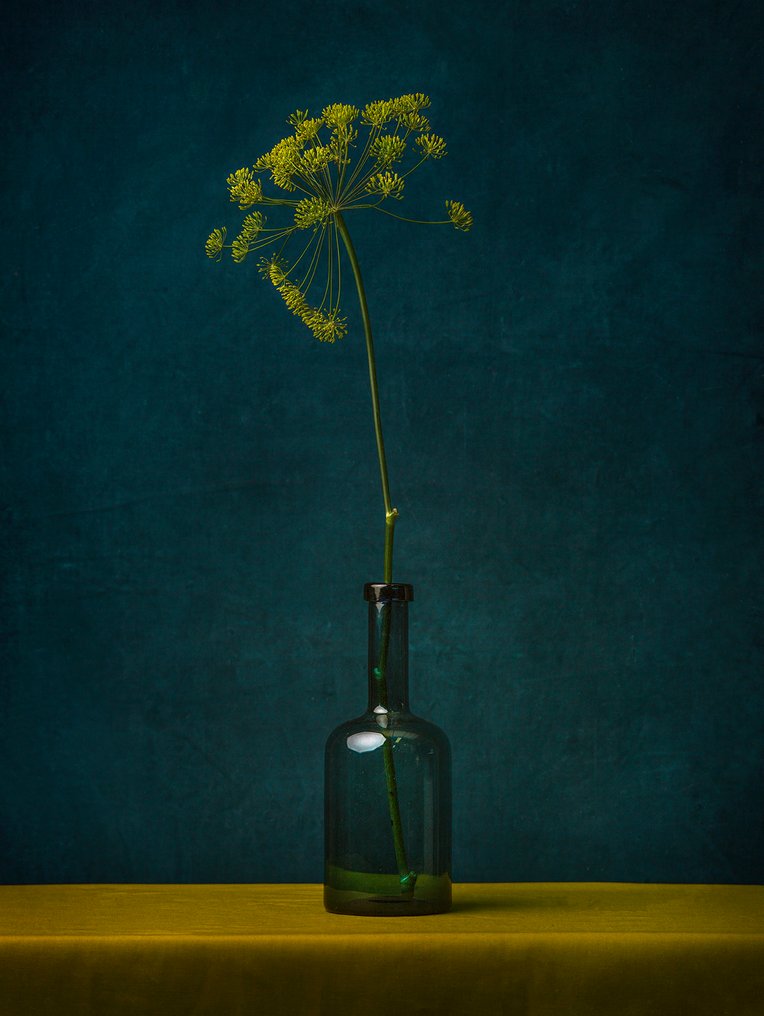 Tessa Posthuma de Boer - Anethum #1.0